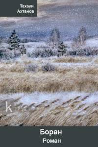 Боран. Роман