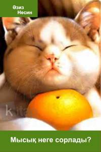 Мысық неге сорлады?